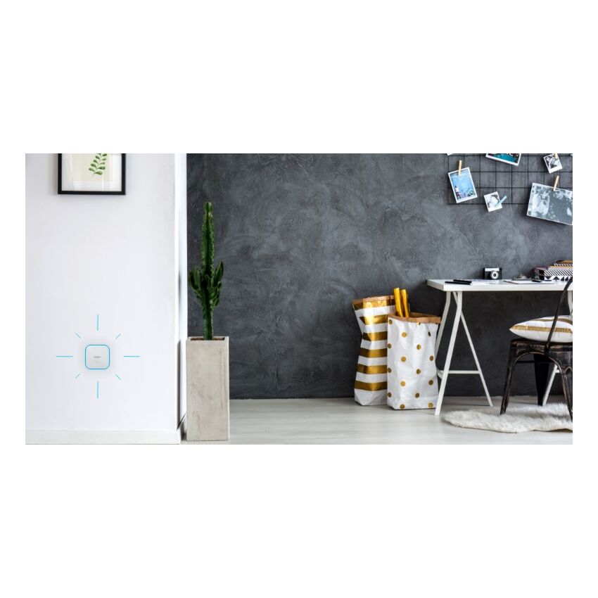 Tedee Bridge, Branco